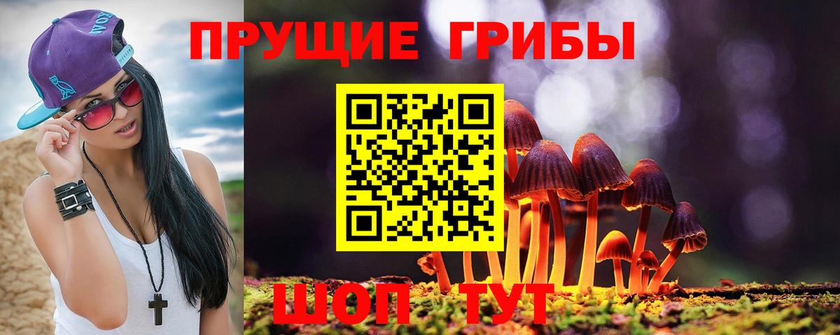Галлюциногенные грибы GOLDEN TEACHER  Вход с VPN  Абакан 